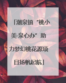 潮泉镇“桃小美·泉心办”助力梦幻桃花源项目扬帆起航