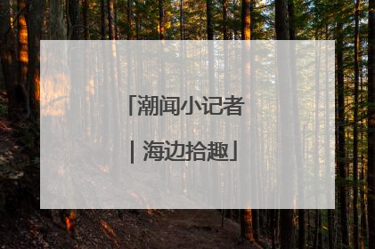 潮闻小记者｜海边拾趣