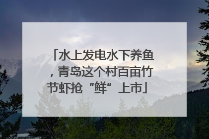 水上发电水下养鱼，青岛这个村百亩竹节虾抢“鲜”上市
