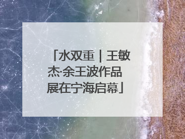 水双重｜王敏杰·余王波作品展在宁海启幕