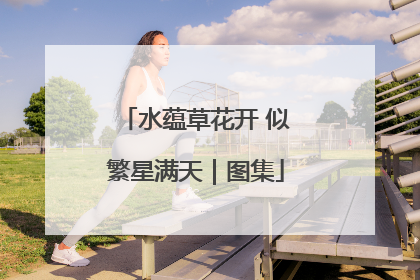 水蕴草花开 似繁星满天｜图集