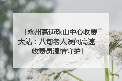 永州高速珠山中心收费大站：八旬老人误闯高速 收费员温情守护