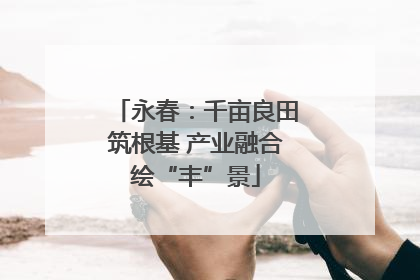 永春：千亩良田筑根基 产业融合绘“丰”景