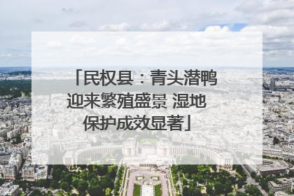 民权县：青头潜鸭迎来繁殖盛景 湿地保护成效显著