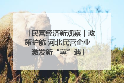 民营经济新观察｜政策护航 河北民营企业激发新“冀”遇
