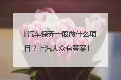 汽车保养一般做什么项目？上汽大众有答案