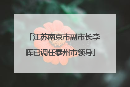江苏南京市副市长李晖已调任泰州市领导
