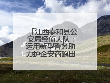江西泰和县公安局经侦大队：运用新型警务助力护企安商跑出“加速度”