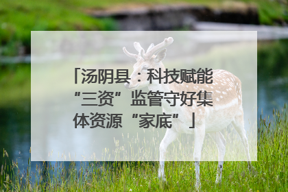 汤阴县：科技赋能“三资”监管守好集体资源“家底”
