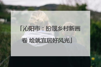 沁阳市：扮靓乡村新画卷 绘就宜居好风光
