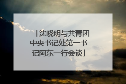 沈晓明与共青团中央书记处第一书记阿东一行会谈