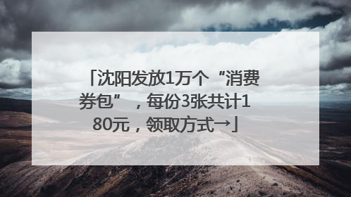 沈阳发放1万个“消费券包”，每份3张共计180元，领取方式→