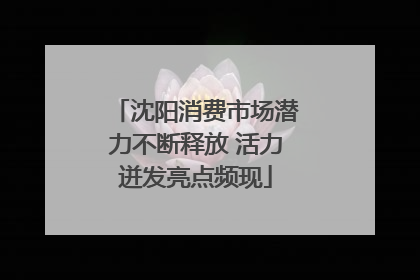 沈阳消费市场潜力不断释放 活力迸发亮点频现
