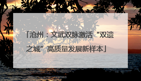 沧州：文武双脉激活“双遗之城”高质量发展新样本