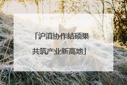 沪滇协作结硕果 共筑产业新高地