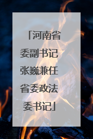 河南省委副书记张巍兼任省委政法委书记
