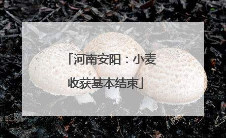 河南安阳：小麦收获基本结束