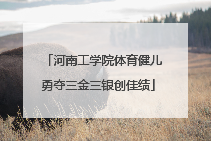 河南工学院体育健儿勇夺三金三银创佳绩