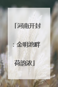 河南开封：金明池畔荷韵浓