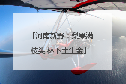 河南新野：梨果满枝头 林下土生金