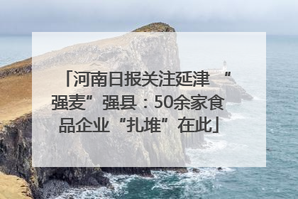 河南日报关注延津 “强麦”强县：50余家食品企业“扎堆”在此