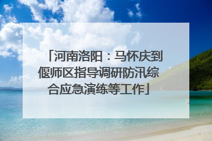 河南洛阳：马怀庆到偃师区指导调研防汛综合应急演练等工作
