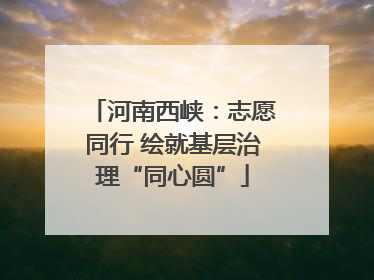 河南西峡：志愿同行 绘就基层治理“同心圆”