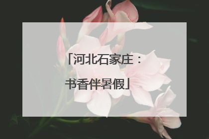 河北石家庄：书香伴暑假