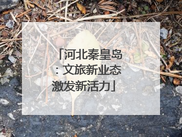 河北秦皇岛：文旅新业态激发新活力