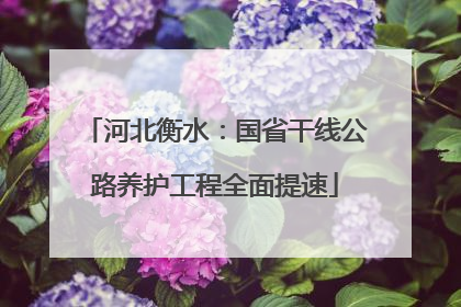 河北衡水：国省干线公路养护工程全面提速