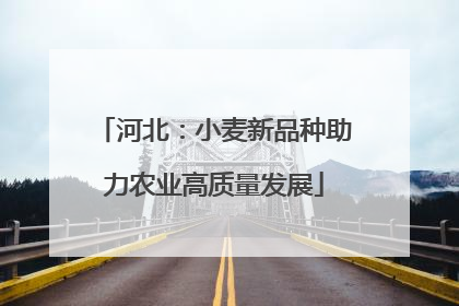 河北：小麦新品种助力农业高质量发展