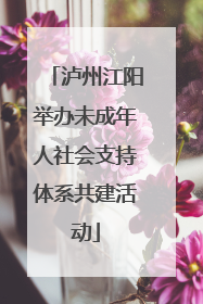 泸州江阳举办未成年人社会支持体系共建活动