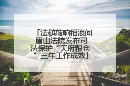 法槌敲响稻浪间 眉山法院发布司法保护“天府粮仓”三年工作成效