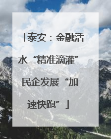 泰安：金融活水“精准滴灌” 民企发展“加速快跑”