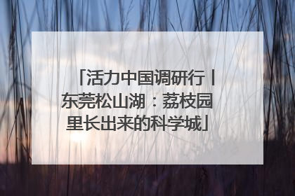 活力中国调研行丨东莞松山湖：荔枝园里长出来的科学城