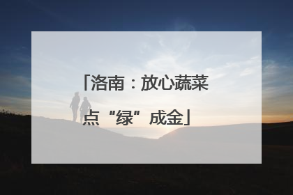洛南：放心蔬菜点“绿”成金