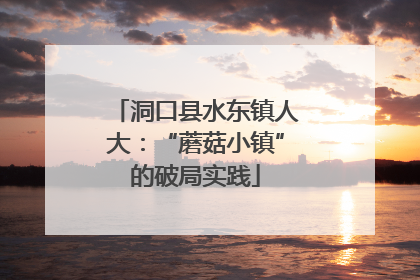 洞口县水东镇人大：“蘑菇小镇”的破局实践