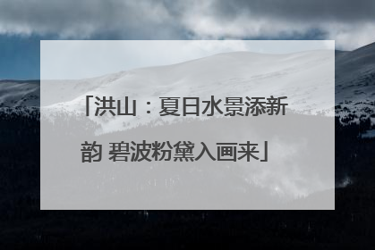 洪山：夏日水景添新韵 碧波粉黛入画来