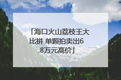 海口火山荔枝王大比拼 单颗拍卖出6.8万元高价