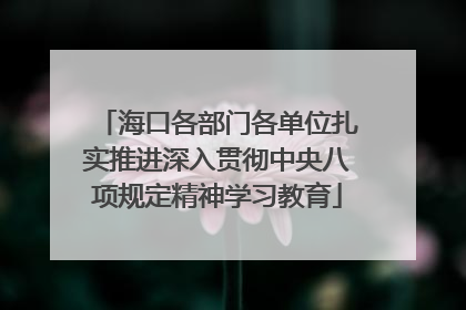 海口各部门各单位扎实推进深入贯彻中央八项规定精神学习教育