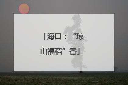 海口：“琼山福稻”香