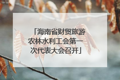 海南省财贸旅游农林水利工会第一次代表大会召开