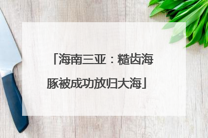 海南三亚：糙齿海豚被成功放归大海