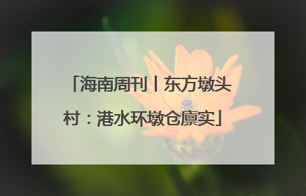 海南周刊丨东方墩头村：港水环墩仓廪实