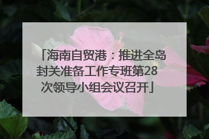 海南自贸港：推进全岛封关准备工作专班第28次领导小组会议召开