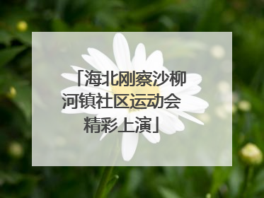 海北刚察沙柳河镇社区运动会精彩上演