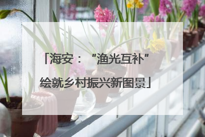 海安：“渔光互补” 绘就乡村振兴新图景