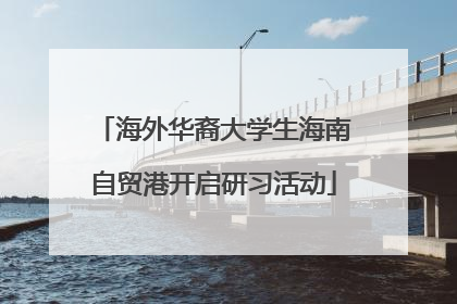 海外华裔大学生海南自贸港开启研习活动