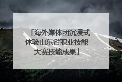 海外媒体团沉浸式体验山东省职业技能大赛技能成果
