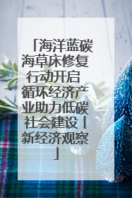 海洋蓝碳海草床修复行动开启 循环经济产业助力低碳社会建设丨新经济观察